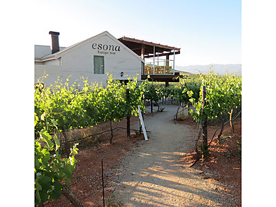 Esona_5.jpg - Esona Boutique Wine Estate image