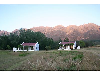 NEW View of Shiraz and Cabernet from bottom road.jpg - Fraaigelegen Farm Cottages image