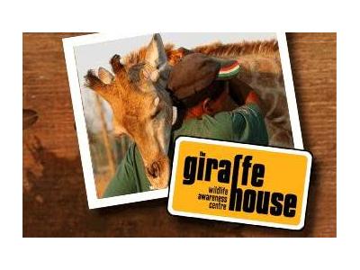 logo giraffe house.jpg - Giraffe House image