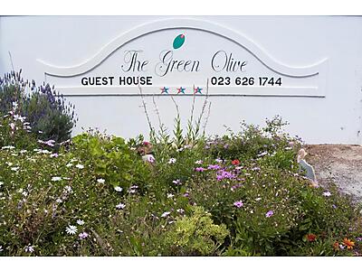 green olive.jpg - Green Olive Guest House image