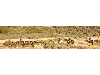 horse.jpg - Horse About - Scenic Horse trails image