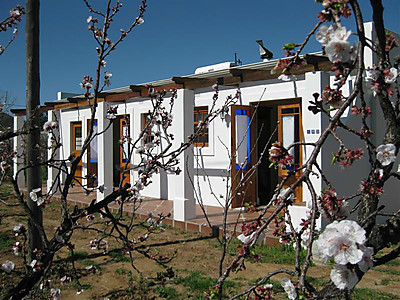 in the orchard.jpg - Inn the Orchard image