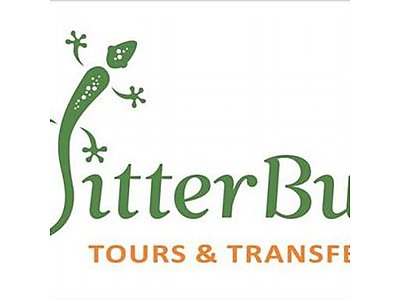 jitter.jpeg - Jitterbug Tours & Transfers image