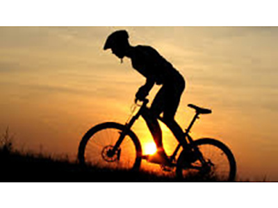 bicycles.jpg - Langeberg MTB Tours image