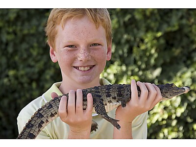 6.jpg - Le Bonheur Reptiles & Adventures image