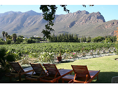 364_3.jpg - Montagu Vines image