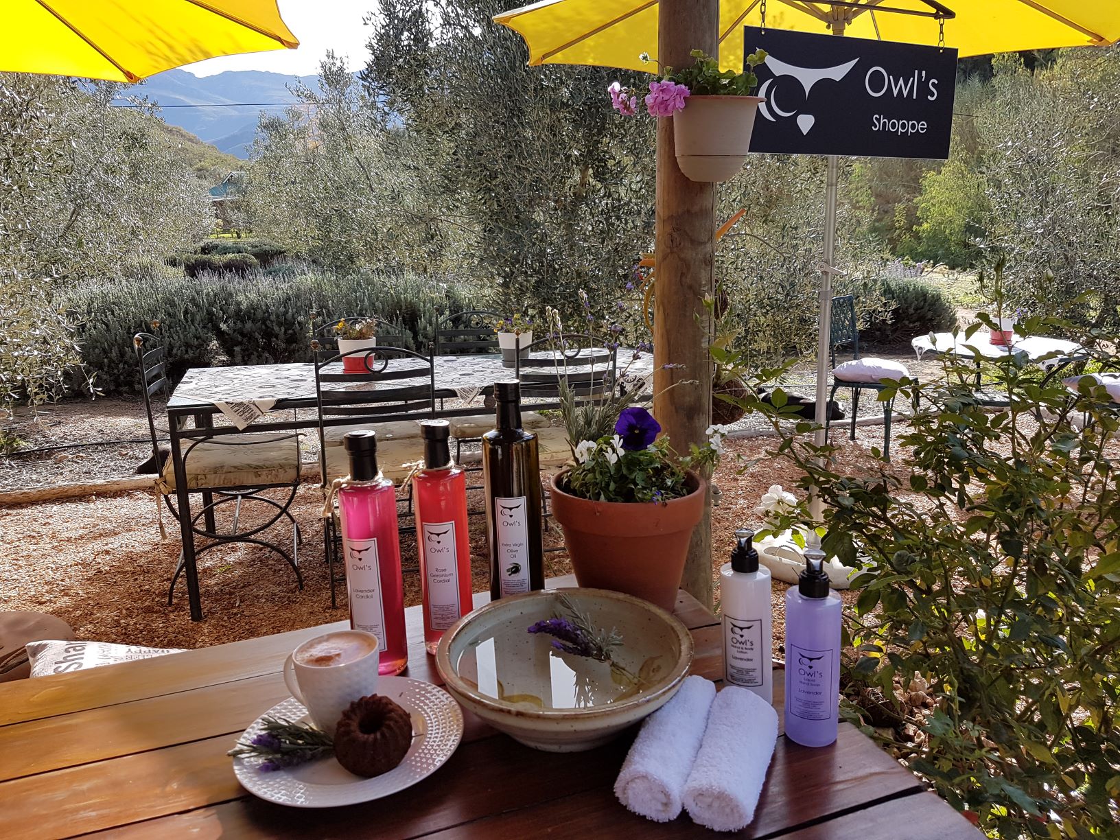 Owl's Shoppe Coffee garden 20170704_105728_001.jpg