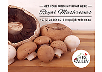 RoyalMushrooms_Proof2.jpg - Royal Mushrooms image