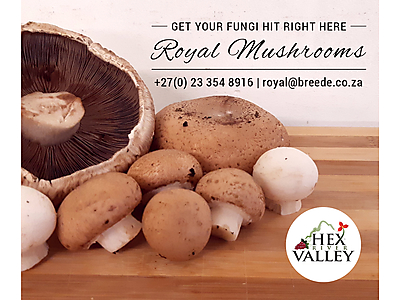 RoyalMushrooms_Proof2.jpg - Royal Mushrooms image