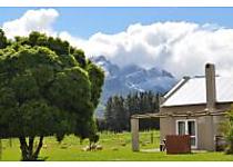 Saronsberg.jpg - Saronsberg Vineyard Cottages image