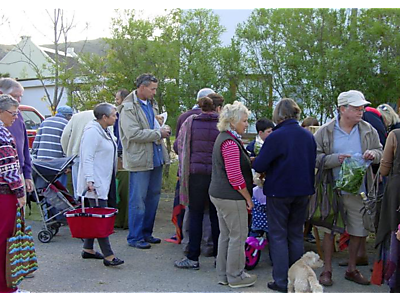 morning market.png - SATURDAY MORNING MARKET image