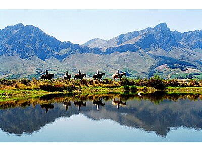 273143_218504034853581_5699906_o.jpg - Tulbagh Horse Trails image