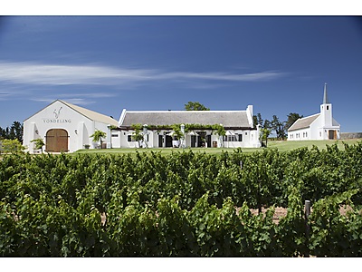 Resized.jpg - Vondeling Wines image