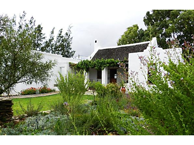 Wild almond.png - WILD ALMOND COTTAGE image