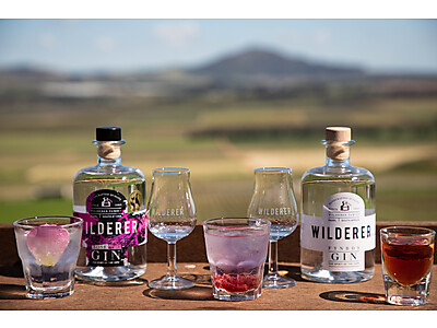 Gin tasting.jpg - Wilderer  image